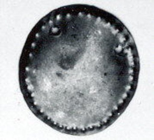 Disk ornament