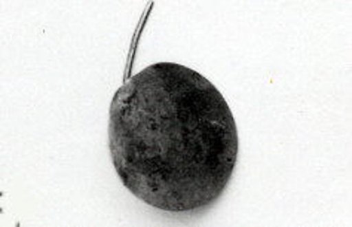 Disk ornament