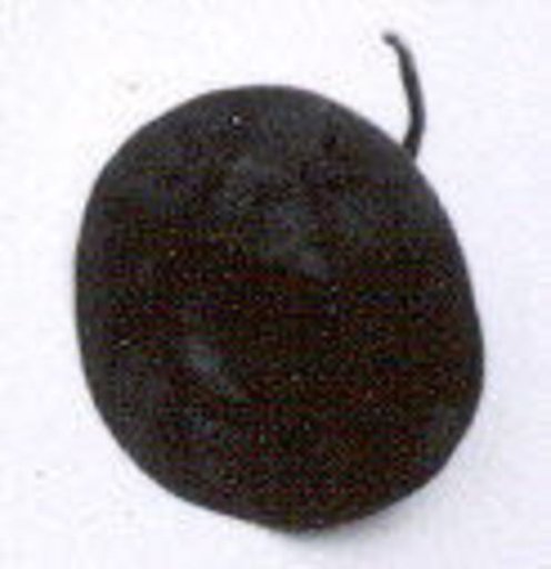 Disk ornament