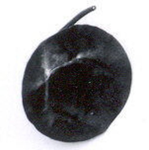 Disk ornament