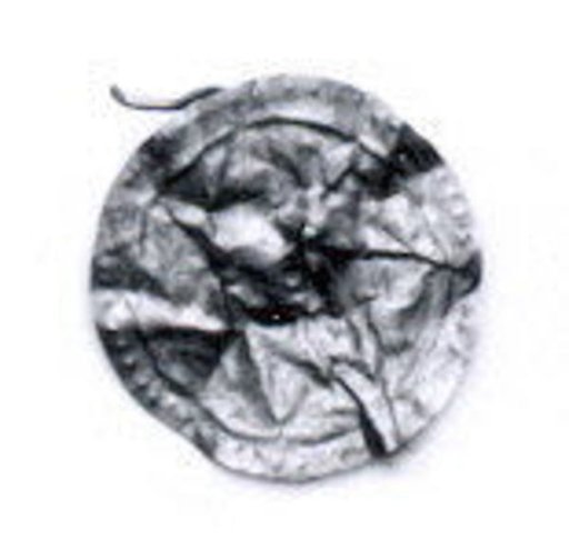 Disk ornament