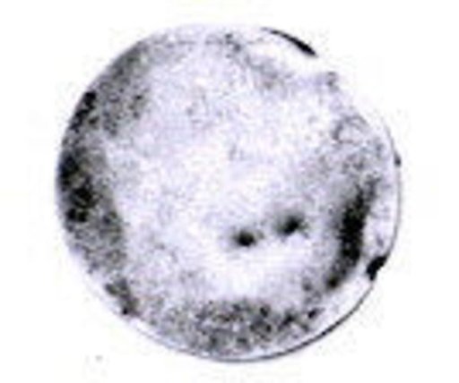 Disk ornament