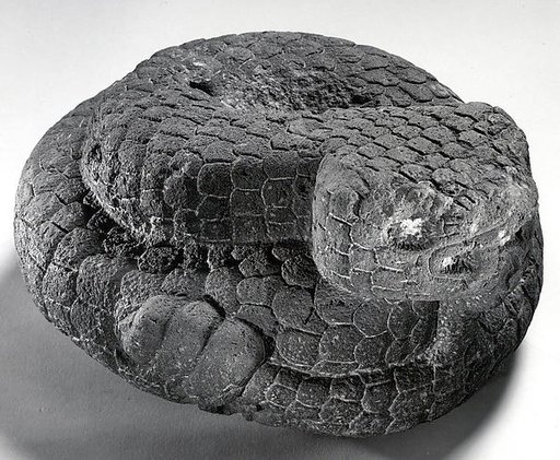 Coiled Serpent