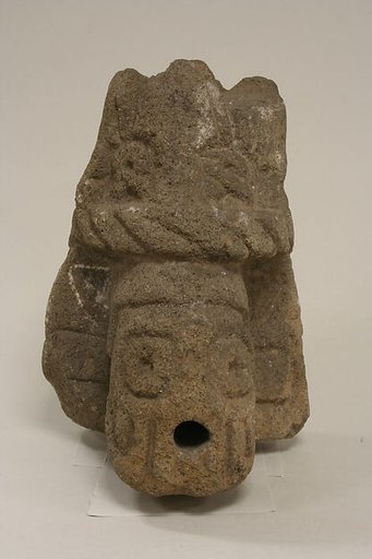 Head