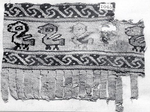 Border Fragment