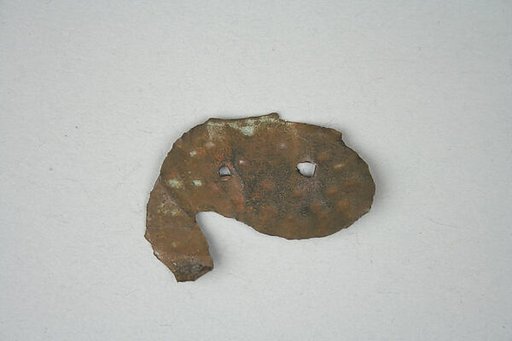 Fish Ornament