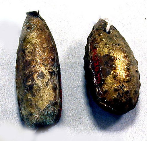 Hammered Silver Pod Ornament