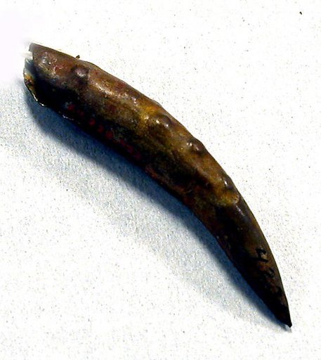 Hammered Copper Claw Ornament