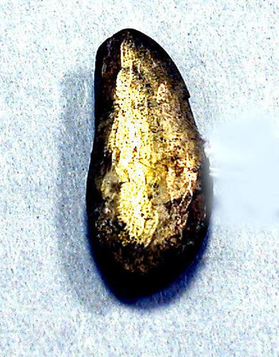 Hammered Silver Pod Ornament