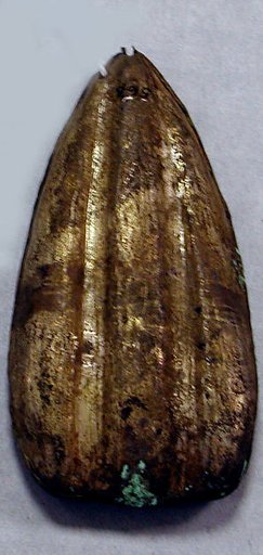 Hammered Silver Petal Ornament