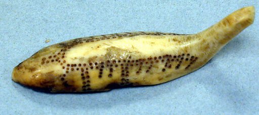 Walrus Ivory Loon