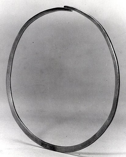 Nose Ornament
