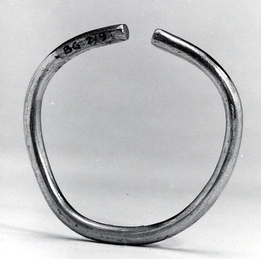 Nose Ornament