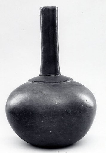 Bottle