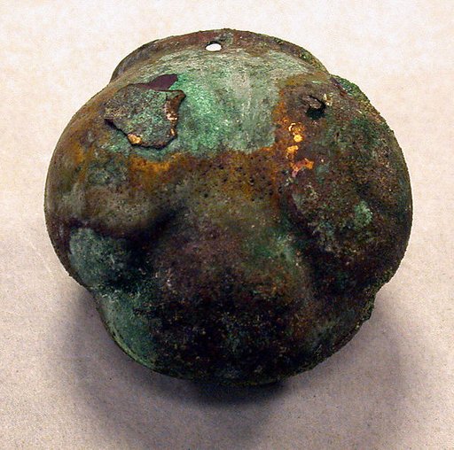 Head of a Frog