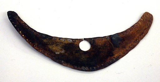 Nose Ornament