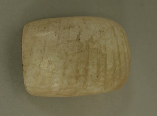 Shell Pendant or Bead