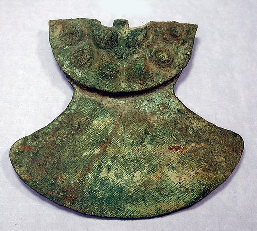Copper Armour Back