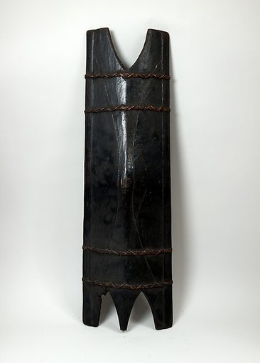 Shield