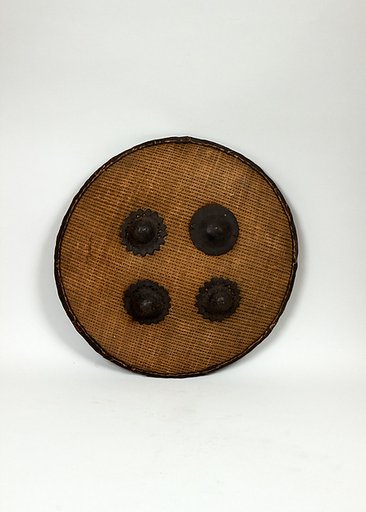 Shield