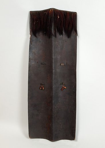 Shield (Dhàl)