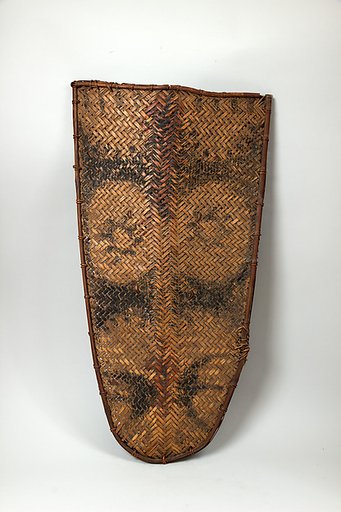 Shield