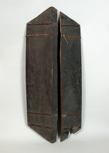 Shield