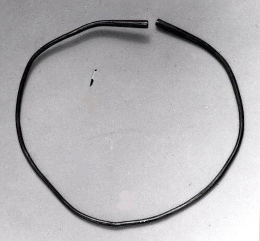 Nose Ornament or Bracelet