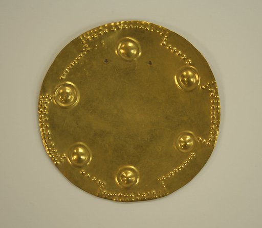 Pectoral Disk