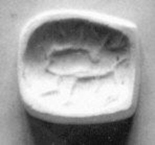 Cushion seal