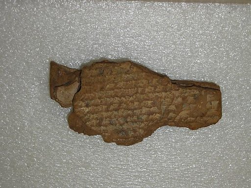 Cuneiform tablet: Shumma izbu, tablet 5