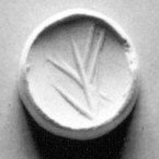 Stamp seal (scaraboid with pointed top) with plant