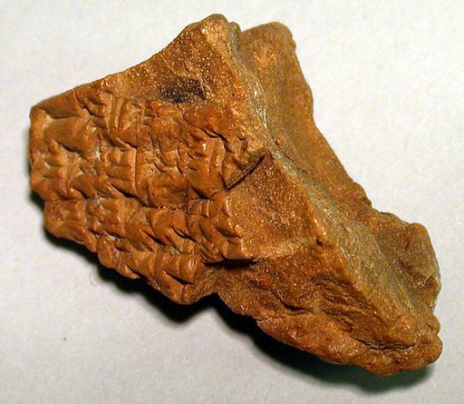 Cuneiform tablet: unidentified fragment