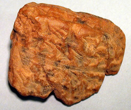 Cuneiform tablet: fragment, Ebabbar archive