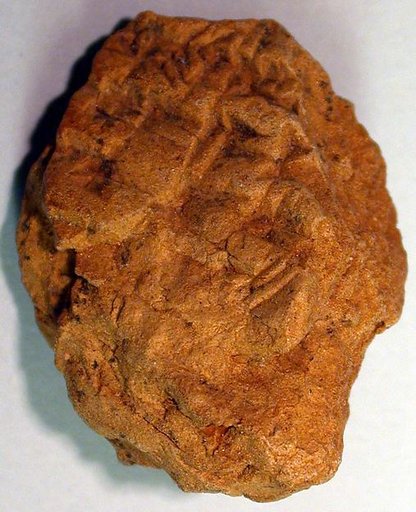Cuneiform tablet: unidentified fragment