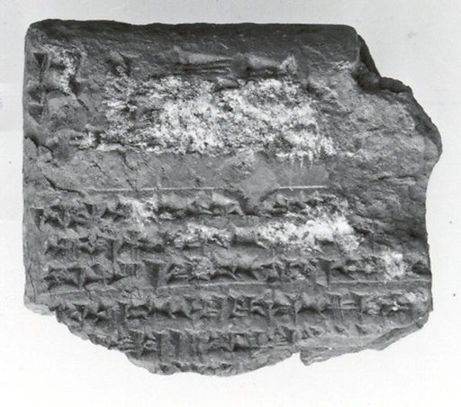 Cuneiform tablet: Shumma alu, tablet 17