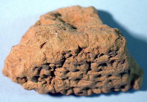 Cuneiform tablet: fragment, Ebabbar archive