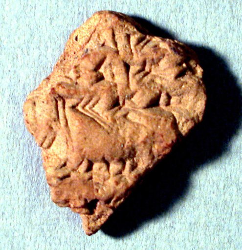 Cuneiform tablet: fragment of a liver omen