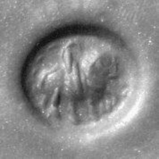 Stamp seal