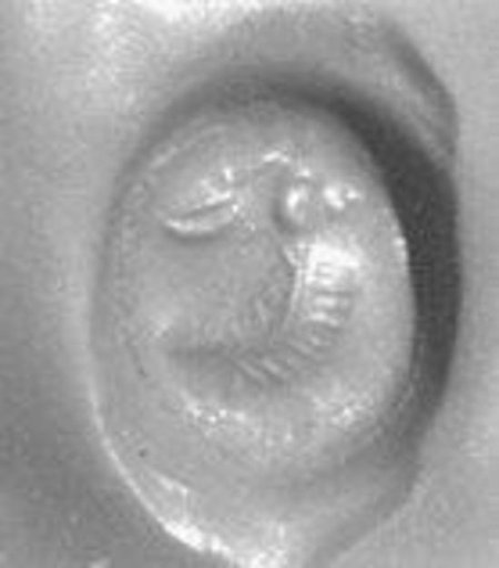 Stamp seal