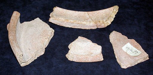 Pan fragments
