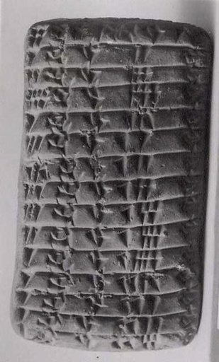 Cuneiform tablet: record of oxen disbursements
