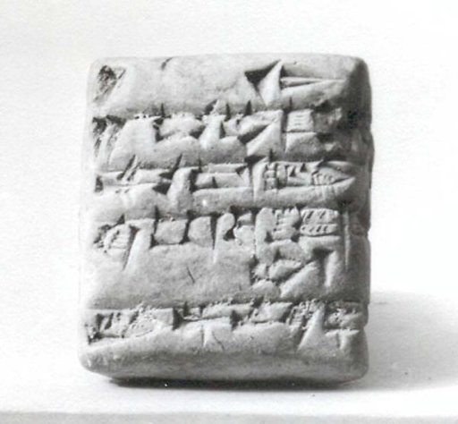 Cuneiform tablet: receipt of cattle