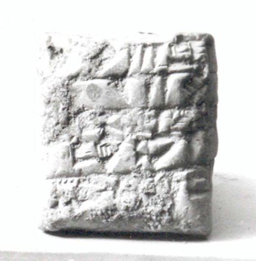 Cuneiform tablet: receipt of an ox and lambs