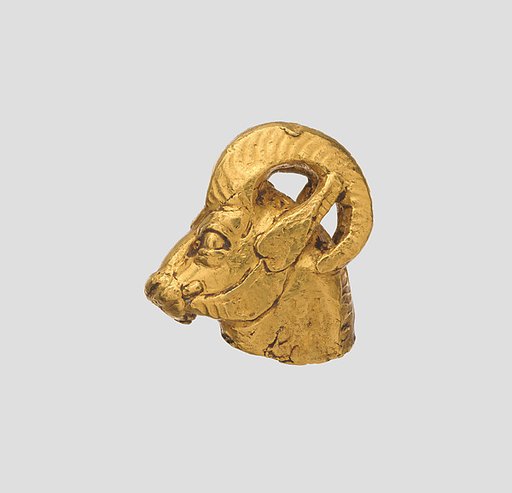 Head of a wild ram