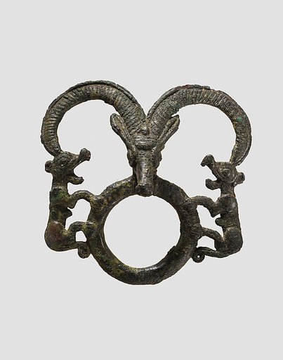 Harness ring