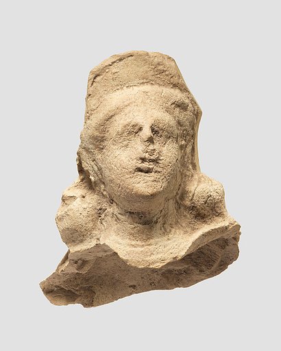 Head