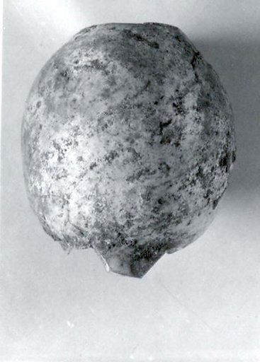 Bottle