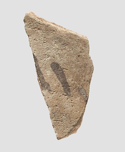 Sherd