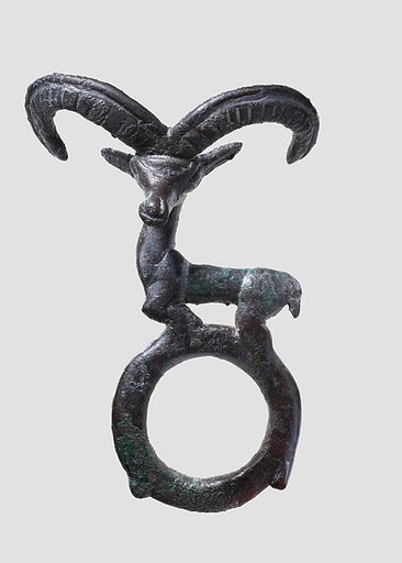 Harness ring